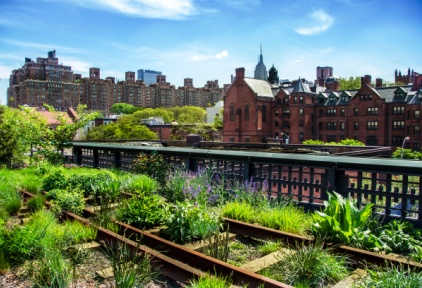 How Does Your Garden Grow? Urban Gardening Strategies for Small Spaces