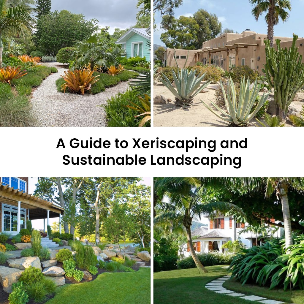 Xeriscaping and Sustainable Landscaping 