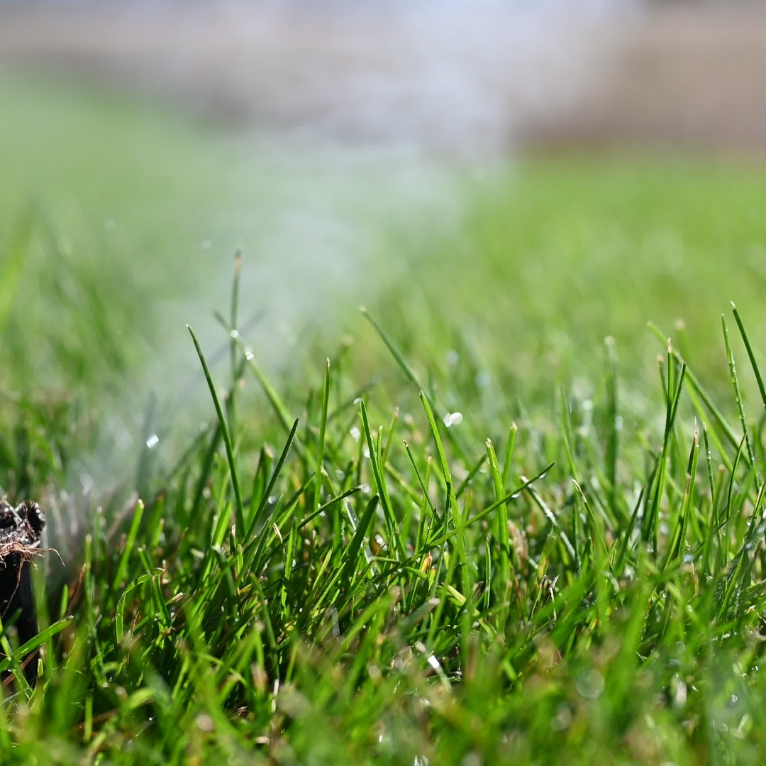 Why Your Sprinkler System Needs to be Winterized