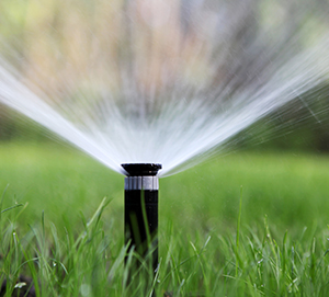 How to Buy a Sprinkler System
