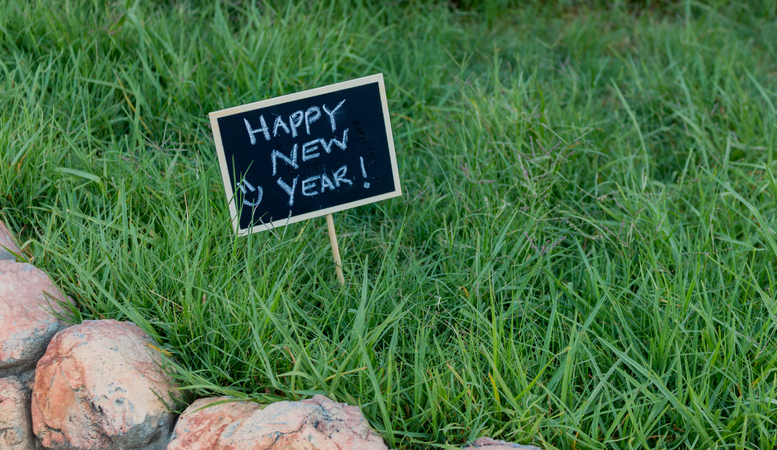 14 Resolutions for Your Lawn & Landscape in 2023