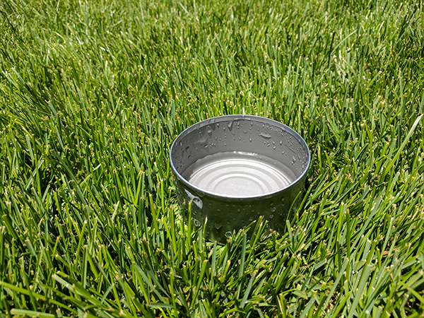 How Much Water Does a Lawn Sprinkler Use?