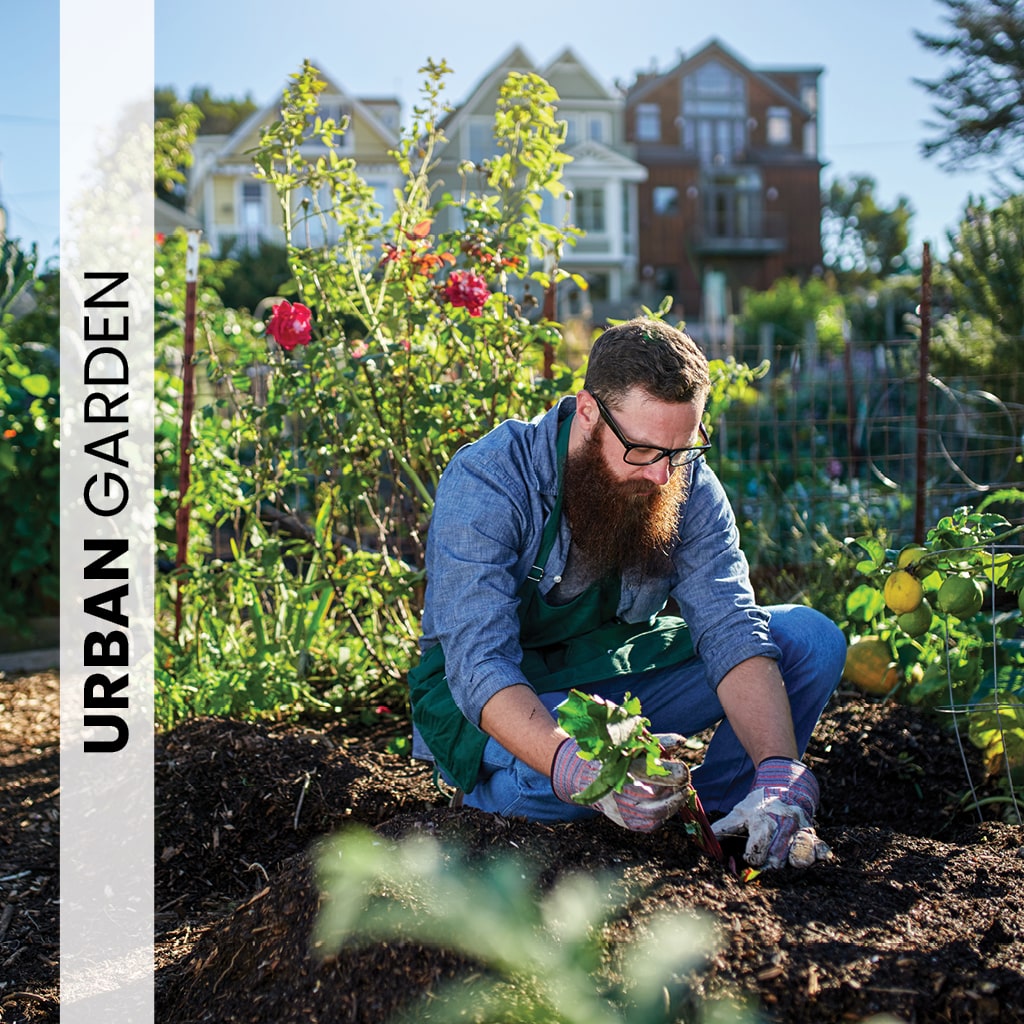 Greening Your Urban Space